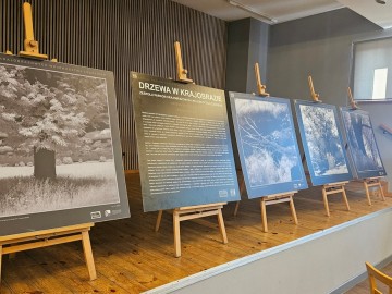 Wystawa „Drzewa Województwa Łódzkiego” autorstwa Piotra Wypycha, 